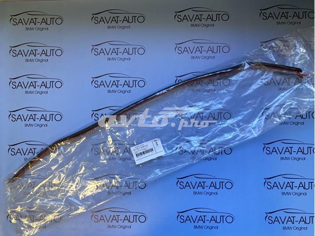 Ущільнювач двері задньої правої (на двері) 51767318510 BMW