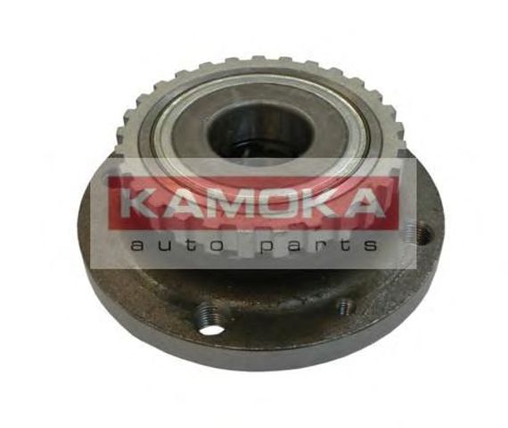 Маточина заднього колеса 5500043 KAMOKA
