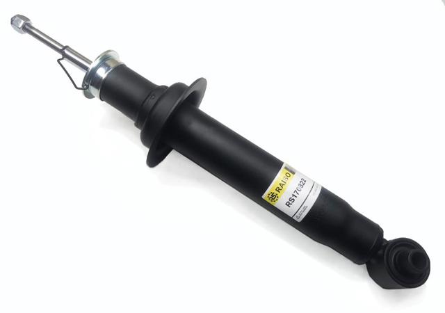 Амортизатори задні RS170822 RAISO