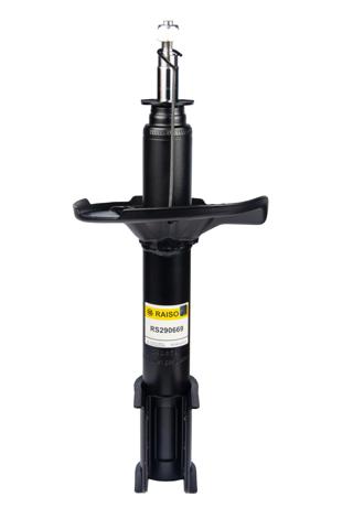 Амортизатори задні RS290669 RAISO