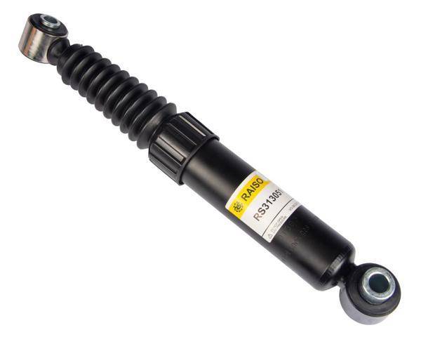 Амортизатори задні RS313051 RAISO