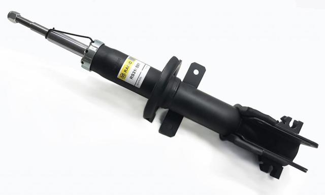 Амортизатор передньої підвіски RS316591 RAISO
