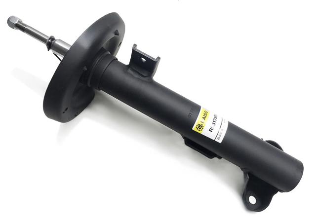 Амортизатор передній RS317559 RAISO