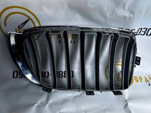 Решітка радіатора ліва 51117210725 BMW