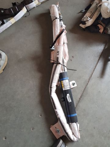 Подушка безпеки, передньої, лівих дверей AIRBAG 100526100D Tesla Model