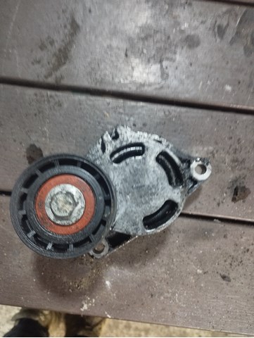 Натяжна планка поліклинового ременя 0802410121 RENAULT