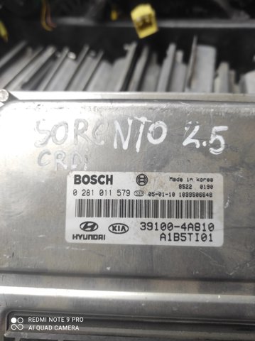 Мізки двигуна 391004A810 HYUNDAI
