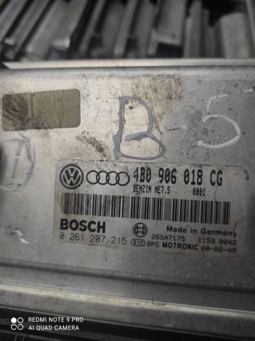 Мізки двигуна 4B0906018CG VAG
