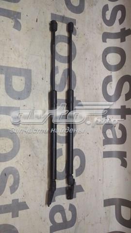 Амортизатор двері п'ятої MR991807 MITSUBISHI