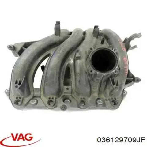 Колектор впускний 036129709JF VAG