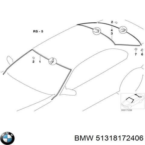 Автоскло 51318172406 BMW