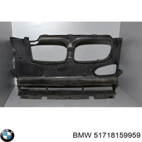 Повітроводи системи охолодження двигуна 51718159959 BMW