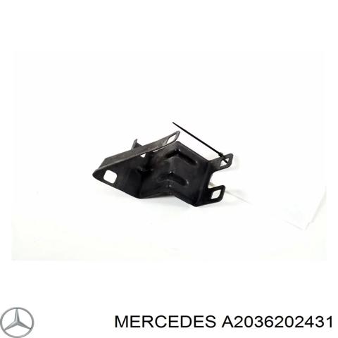 Кронштейн суппорту радіатора нижній A2036202431 MERCEDES