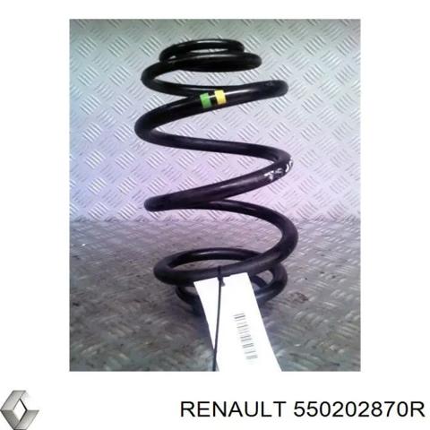 Пружини задні 550202870R RENAULT