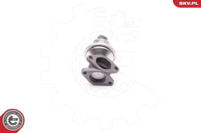 Клапан EGR, рециркуляції газів 14SKV129 SKV