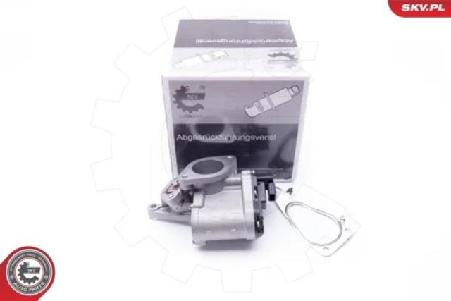 Клапан EGR 14SKV165 SKV