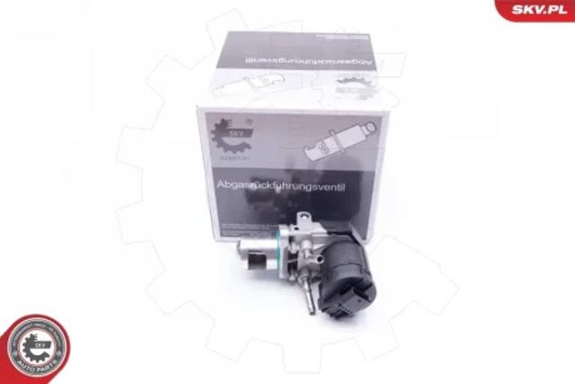 Клапан EGR, рециркуляції газів 14SKV169 SKV