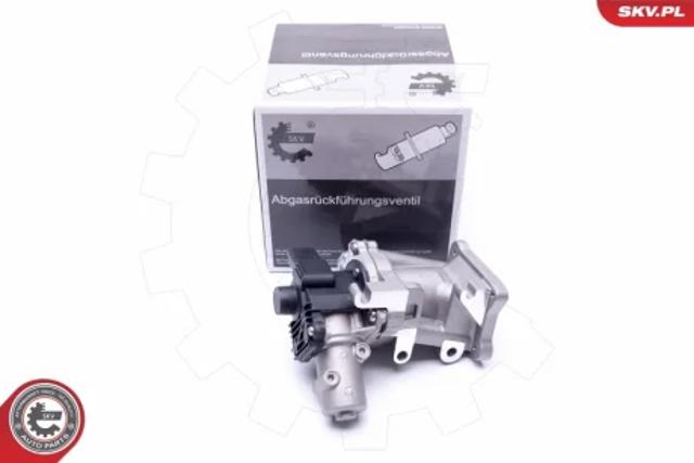 Клапан EGR 14SKV171 SKV