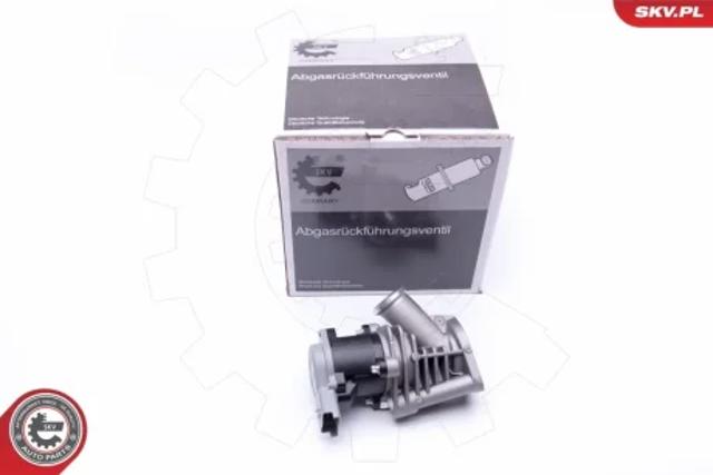 Клапан EGR, рециркуляції газів 14SKV173 SKV