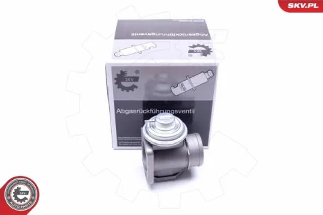 Клапан EGR, рециркуляції газів 14SKV174 SKV