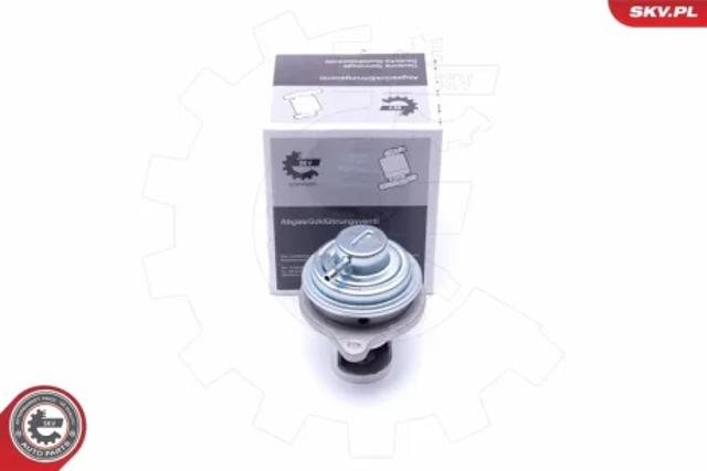 Клапан EGR рециркуляції газів 14SKV182 SKV