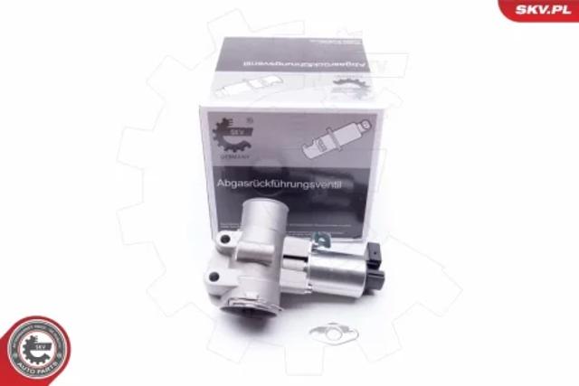 Клапан EGR, рециркуляції газів 14SKV186 SKV