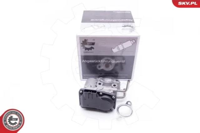 Клапан EGR рециркуляції газів 14SKV189 SKV
