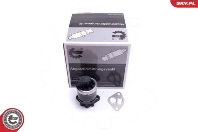 Клапан EGR, рециркуляції газів 14SKV210 SKV