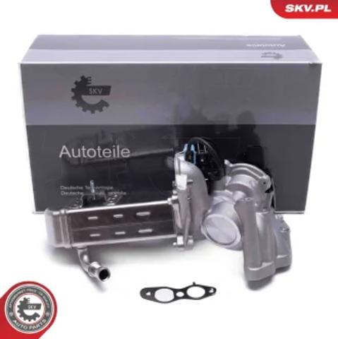 Клапан EGR рециркуляції газів 14SKV238 SKV