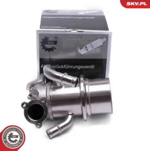 Клапан EGRсістеми рециркуляції відпрацьованих газів 14SKV243 SKV