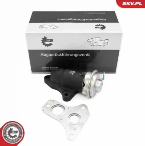 Клапан EGR рециркуляції газів 14SKV263 SKV