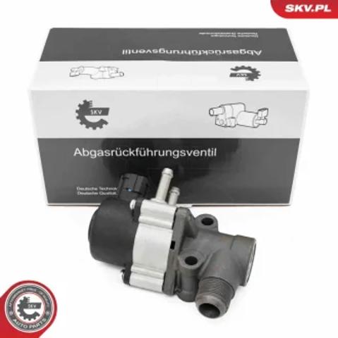 Клапан EGR рециркуляції газів 14SKV271 SKV