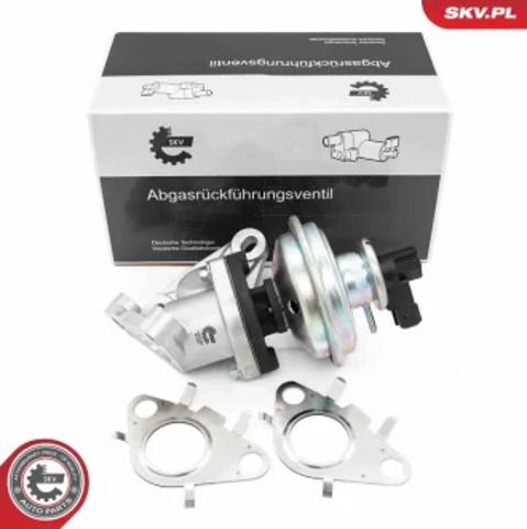 Клапан EGR, рециркуляції газів 14SKV285 SKV