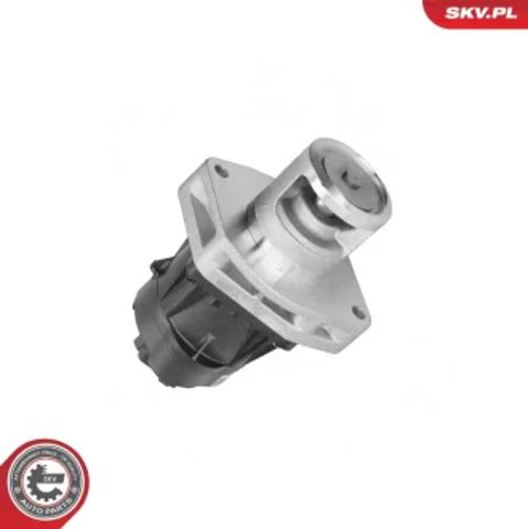 Клапан EGR 14SKV302 SKV