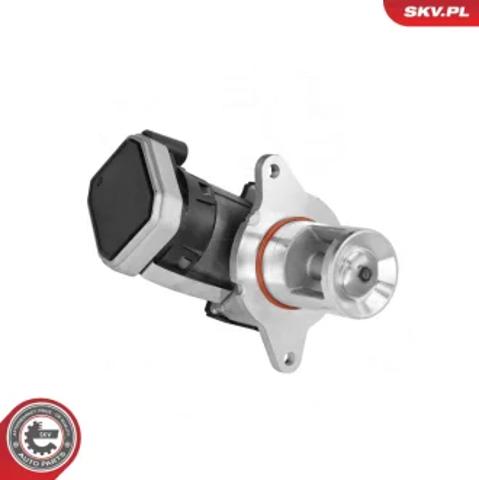 Клапан EGR 14SKV307 SKV