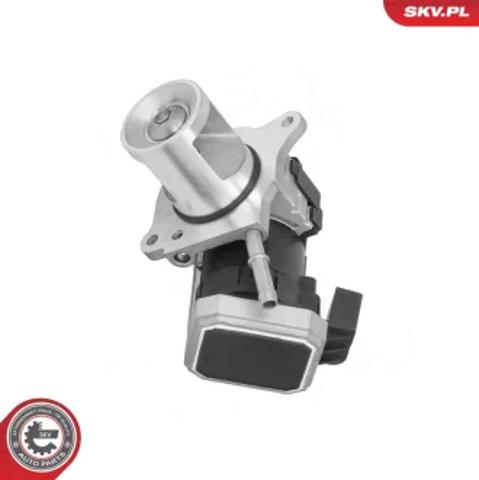 Клапан EGR 14SKV310 SKV