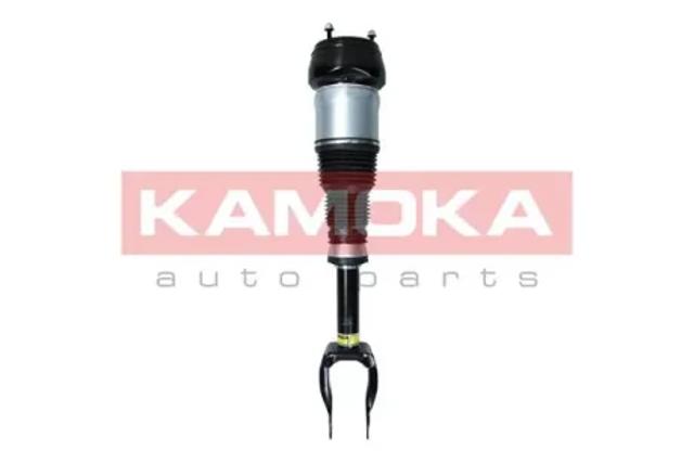 Ліва передня стійка 2070001 KAMOKA