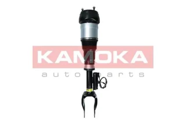 Стійка передня права 2070004 KAMOKA