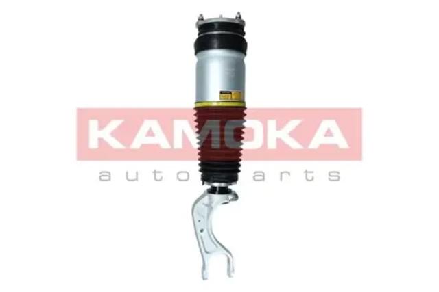 Амортизатор передній 2070007 KAMOKA