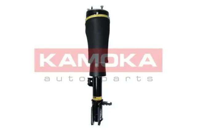 Ліва передня стійка 2070020 KAMOKA