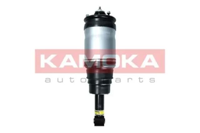 Амортизаційна стійка задня 2070025 KAMOKA