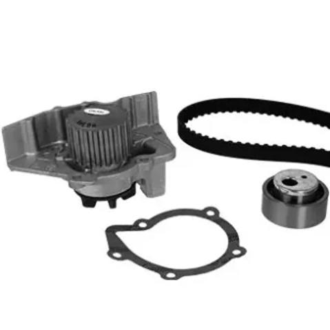 Ремкомплект ГРМ 3003481 METELLI