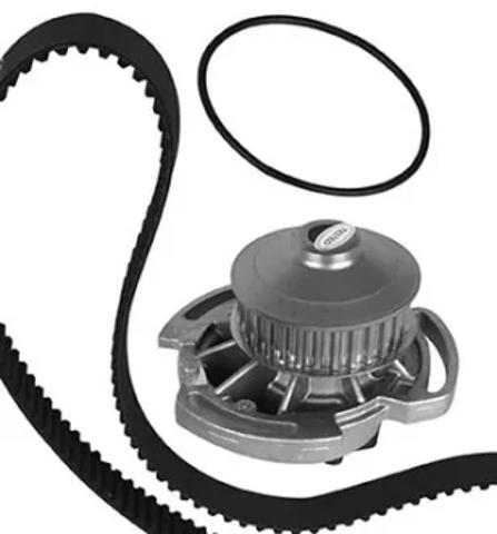 3004251 Metelli