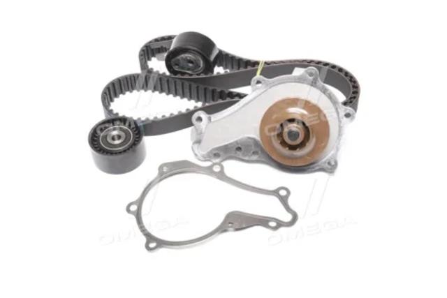Ремкомплект ГРМ 3009381 METELLI