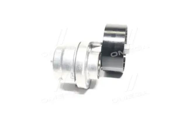 Натяжна планка поліклинового ременя 533006120 INA