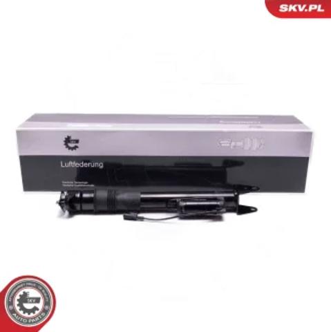 Амортизатори задні 58SKV724 SKV