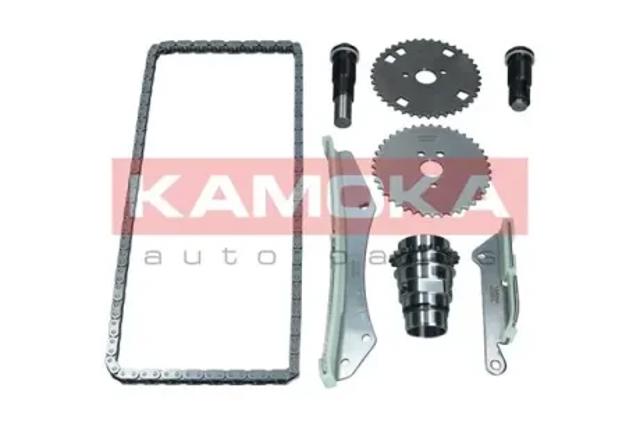 Ланцюг ГРМ, комплект 7001618 KAMOKA
