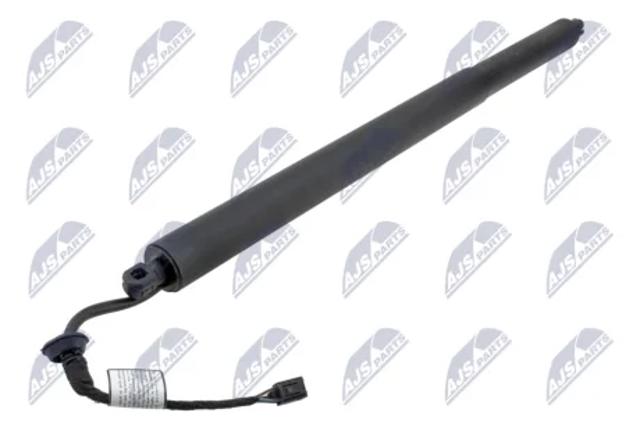 Амортизатор задньої ляди AEAU100 NTY