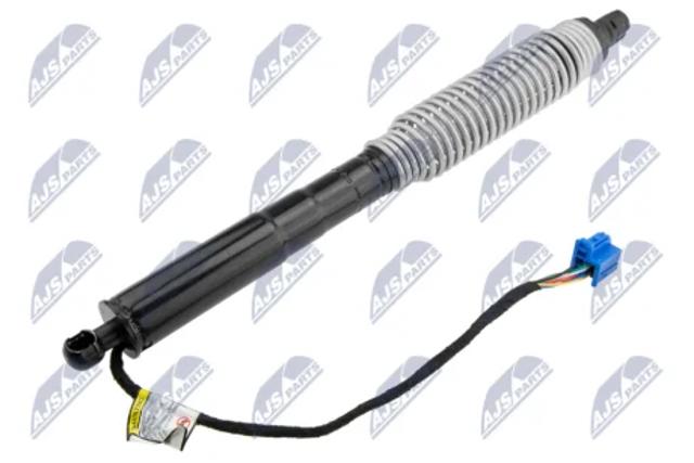 Амортизатор ляди AEBM092 NTY