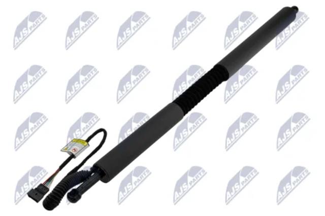 Амортизатор ляди AEBM109 NTY